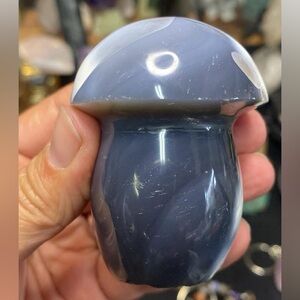 Polished Orca Jasper Mushroom